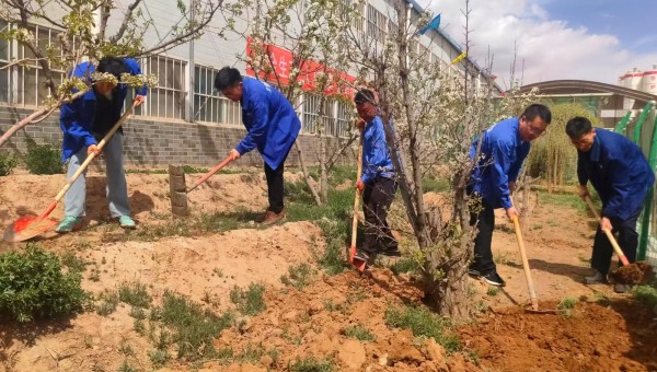 为强化企业文化建设，培养广大员工拼搏进取的团队精神，展现新时代青年昂扬风采，在“五一”国际劳动节和“五四”青年节来临之际，bevictor伟德官网各基层工会联合团支部开启了一场场别具特色的“劳动添绿+趣味竞技